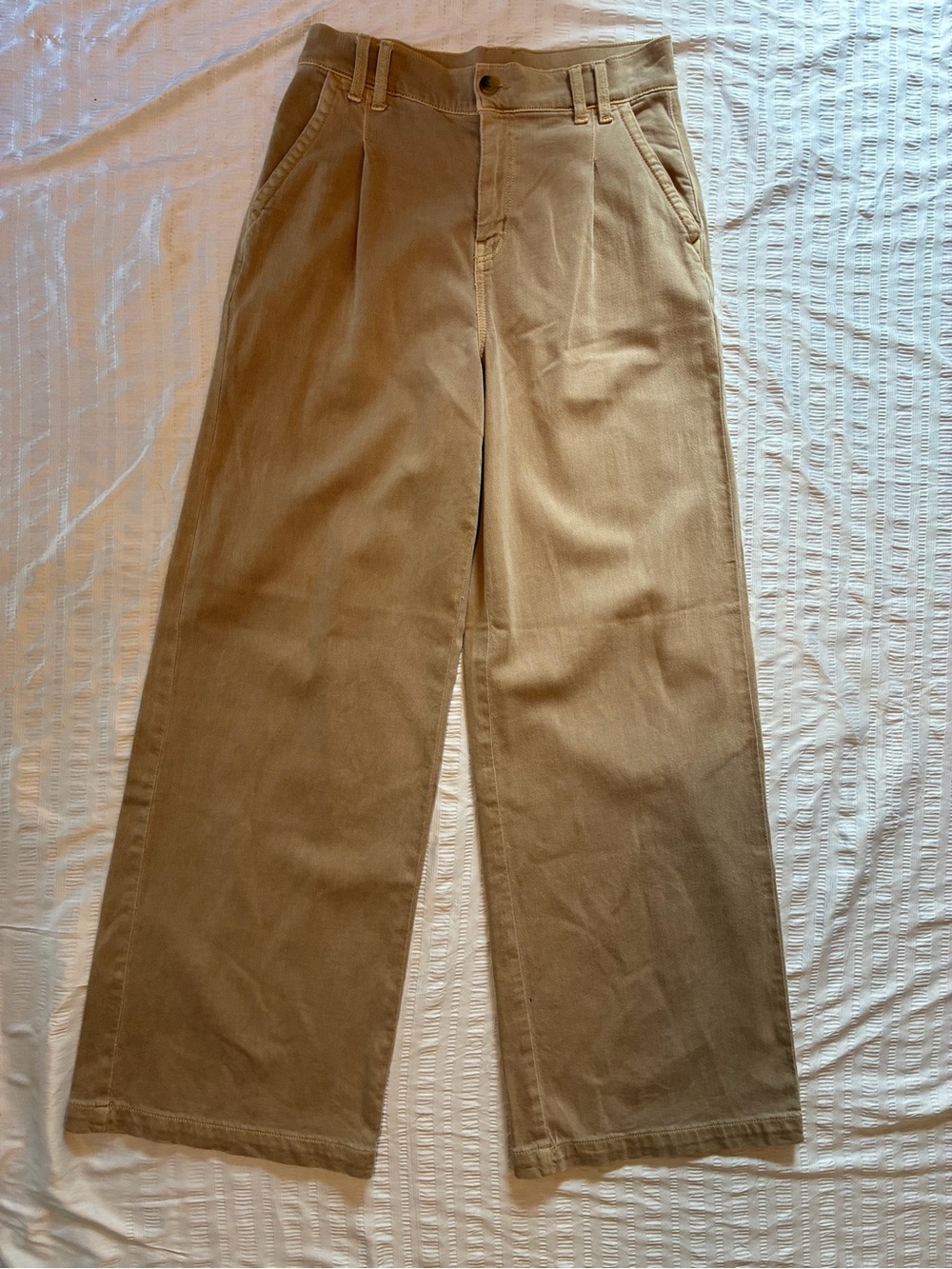 American Eagle Tan Pleated Wide Leg Trouser Pants Size 2